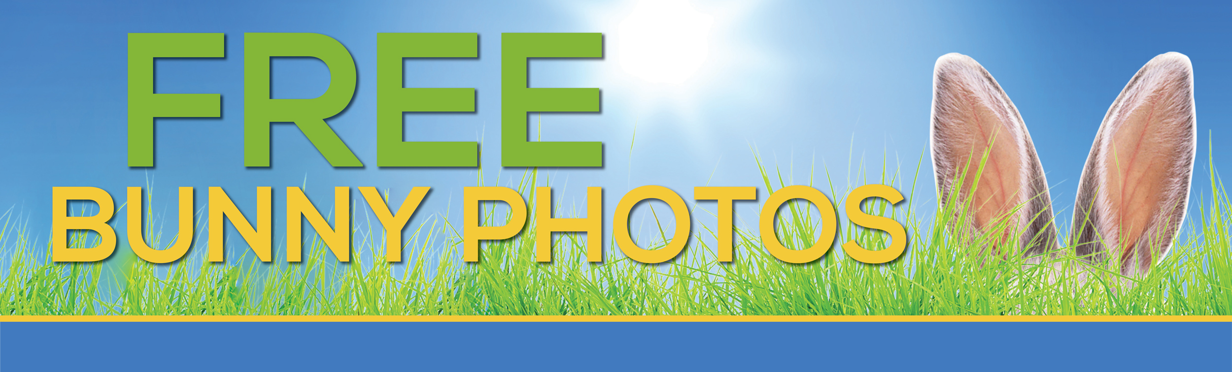 BunnyPhotosBanner