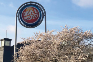 Exterior sign for Dave & Buster's with a blooming cherry tree