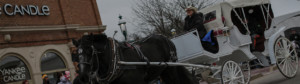White carriage drawn by black horse