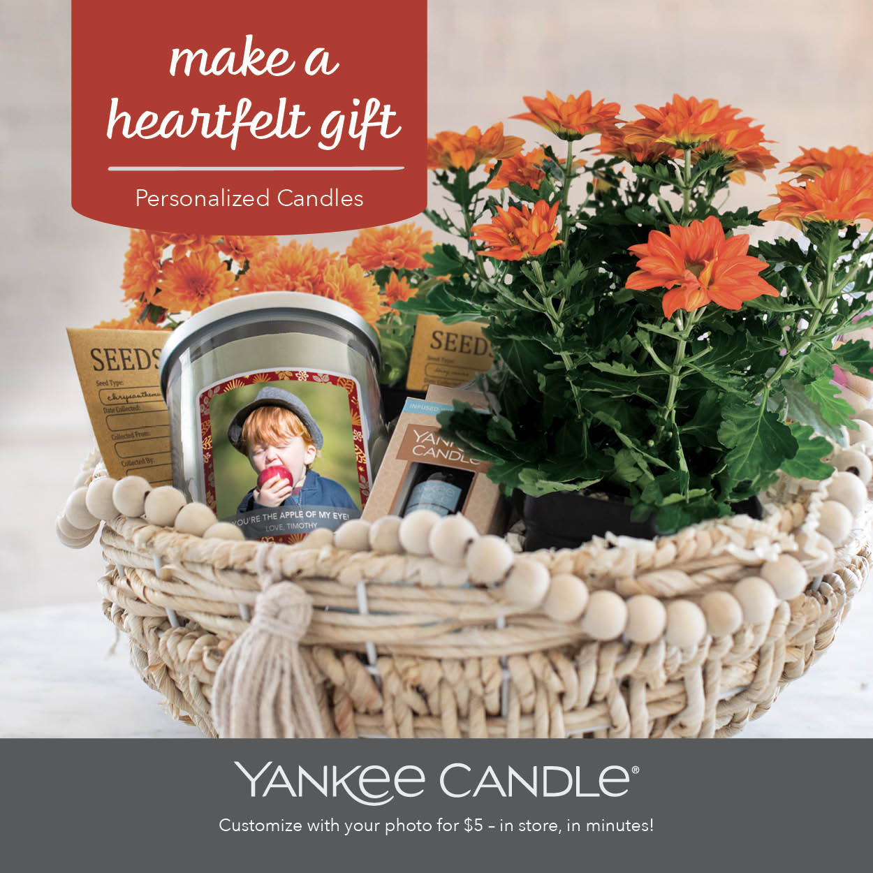 Freshen Up Your Rooms this Fall