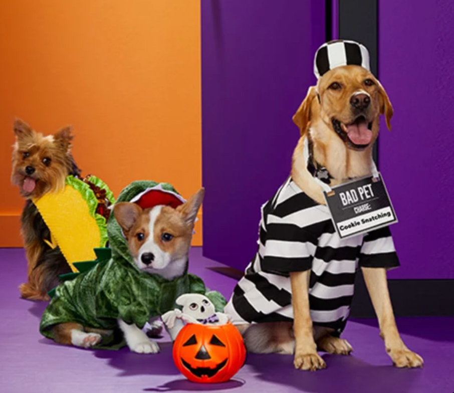 Brew Up Some Halloween Magic