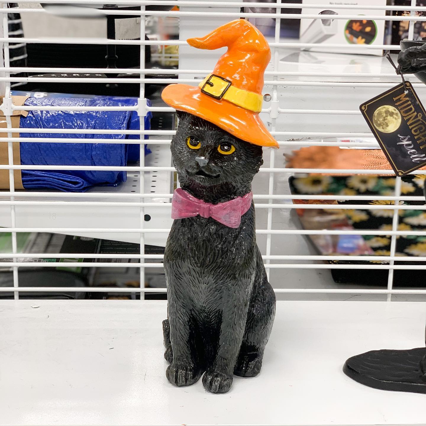 Have a Haunting Halloween for Less