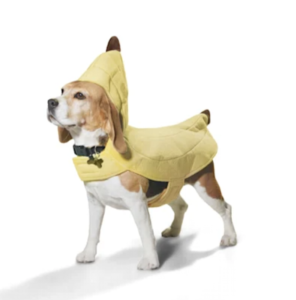 Halloween Costumes for Your Pets!