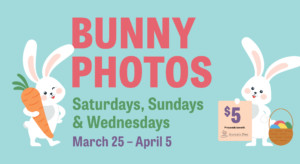 Bunny Photos