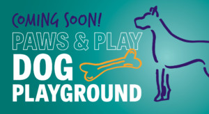 Paws & Play Dog Playground