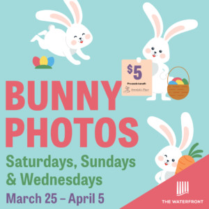 Bunny Photos