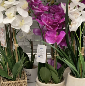 Everything Spring