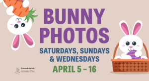 Easter Bunny Photos