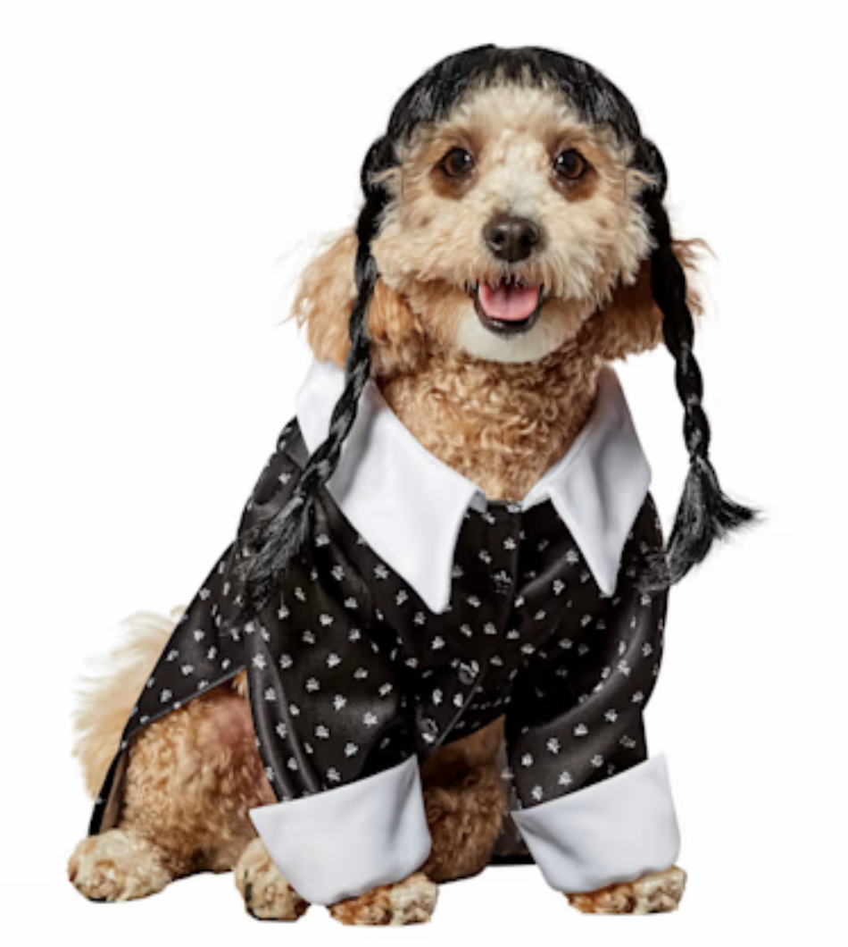 Halloween Costumes