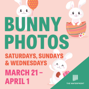 Bunny Photos